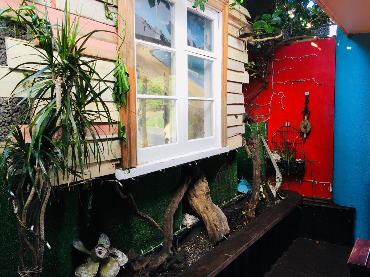 Grafton Backpackers Pansiyon Auckland Dış mekan fotoğraf